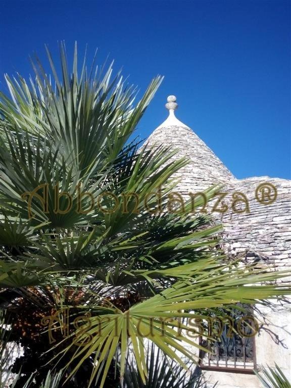 阿尔贝罗贝洛Agriturismo Abbondanza别墅 外观 照片