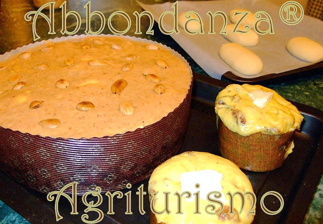 阿尔贝罗贝洛Agriturismo Abbondanza别墅 外观 照片