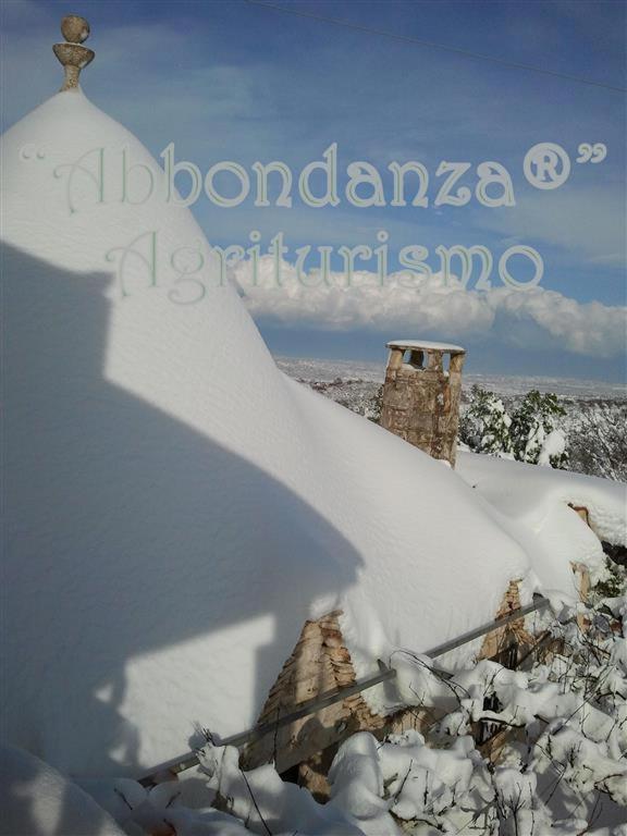 阿尔贝罗贝洛Agriturismo Abbondanza别墅 外观 照片