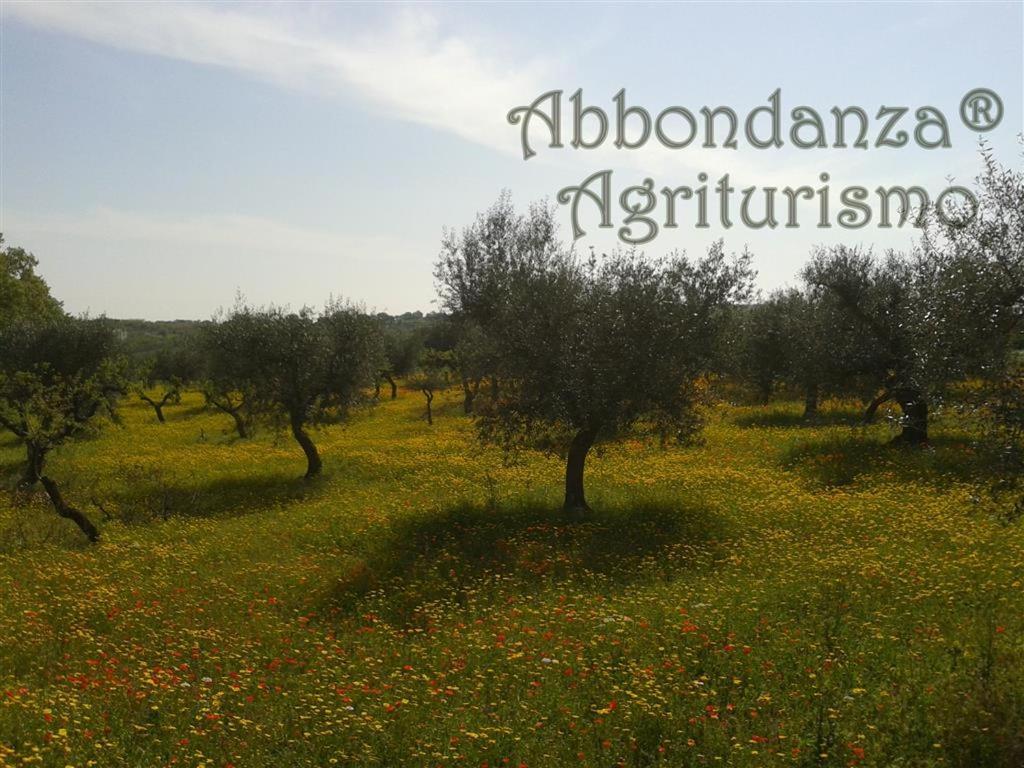 阿尔贝罗贝洛Agriturismo Abbondanza别墅 外观 照片