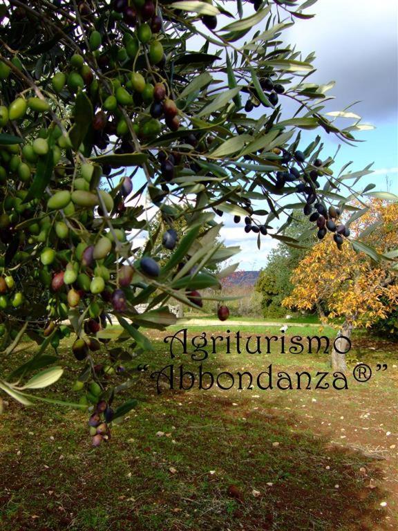 阿尔贝罗贝洛Agriturismo Abbondanza别墅 外观 照片